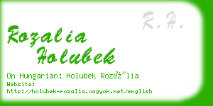rozalia holubek business card